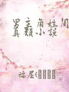 男主角姓周的修真类小说