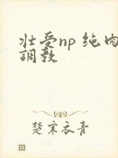 壮受np 纯肉调教