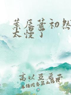 叶辰萧初然更新太慢了