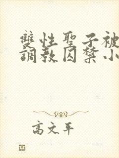 双性圣子被祭司调教囚禁小说尤物