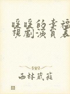 暖暖的幸福 电视剧演员表