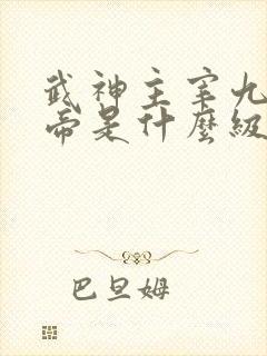 武神主宰九天武帝是什么级别