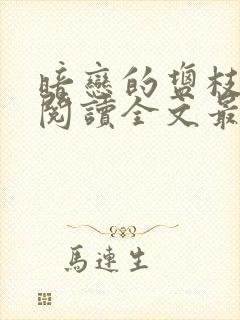 暗恋的盐枝免费阅读全文最新章节