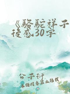 《骆驼祥子》读后感30字