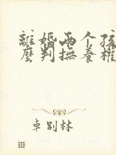 离婚两个孩子怎么判抚养权