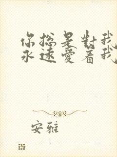 你总是对我说你永远爱着我什么歌