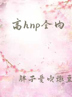 高hnp全肉