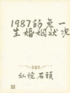 1987的兔一生婚姻状况