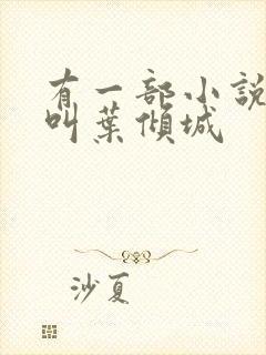 有一部小说女主叫叶倾城