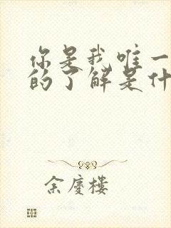 你是我唯一想要的了解是什么歌