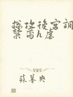 总攻后宫调教成禁脔h虐