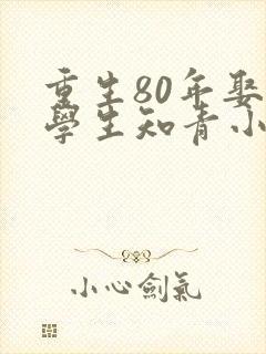 重生80年娶大学生知青小说