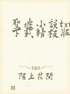 圣墟小说txt下载精校版