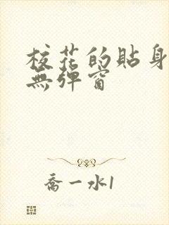 校花的贴身高手无弹窗