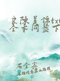 良陈美锦txt全本网盘下载