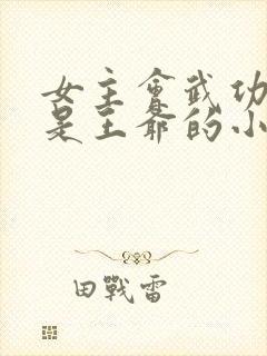 女主会武功男主是王爷的小说