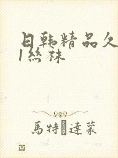 日韩精品久久91丝袜