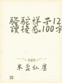 骆驼祥子12章读后感100字