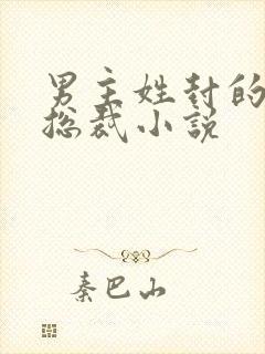男主姓封的霸道总裁小说