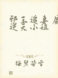 邪王追妻 废材逆天小姐