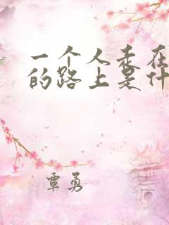 一个人走在孤单的路上是什么歌