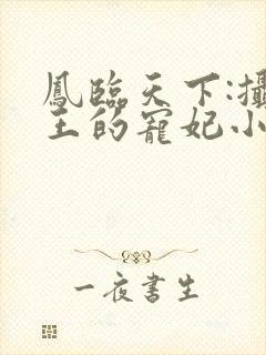 凤临天下:摄政王的宠妃小说小说