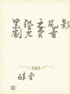 黑狐之风影电视剧免费看