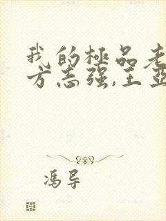 我的极品老婆(方志强,王亚欣)