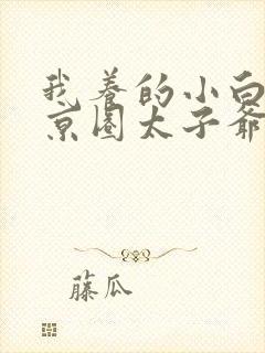 我养的小白脸是京圈太子爷短剧演员