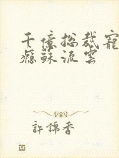 千亿总裁宠妻上瘾苏流云