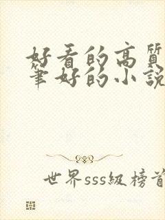 好看的高质量文笔好的小说