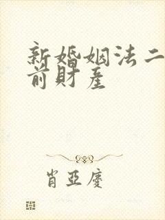 新婚姻法二婚婚前财产