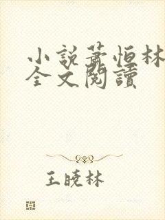 小说萧恒林月浅全文阅读