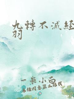 九转不灭经周轻羽