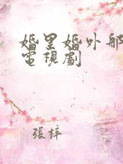 婚里婚外那些事电视剧