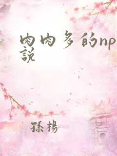 肉肉多的np小说