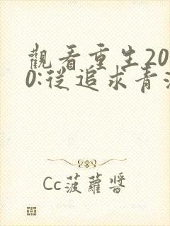 观看重生2000:从追求青涩校花同桌开始小说