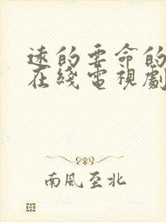 远的要命的爱情在线电视剧免费观看