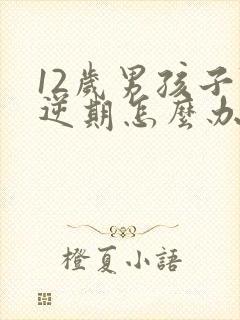 12岁男孩子叛逆期怎么办