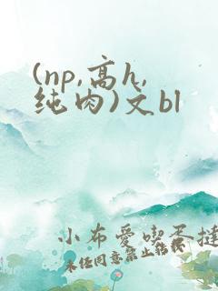 (np,高h,纯肉)文bl