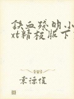 铁血残明小说txt精校版下载