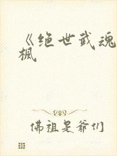 《绝世武魂》陈枫