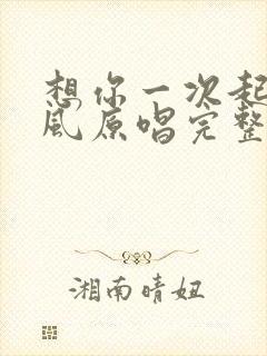 想你一次起一阵风原唱完整版