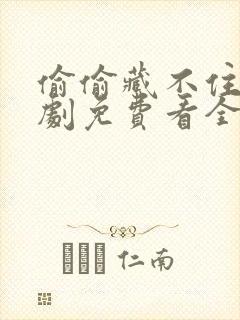 偷偷藏不住电视剧免费看全集