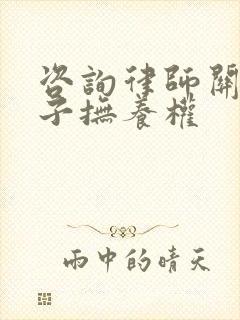 咨询律师关于孩子抚养权