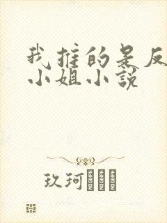 我推的是反派大小姐小说