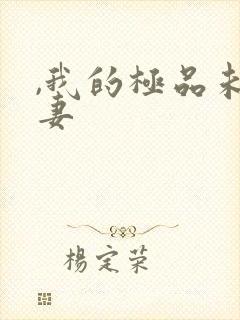 ,我的极品未婚妻