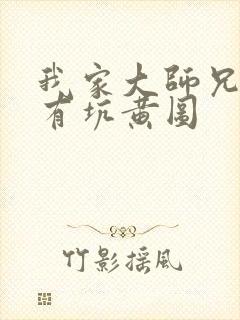 我家大师兄脑子有坑黄图