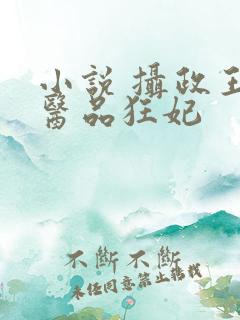 小说 摄政王的医品狂妃