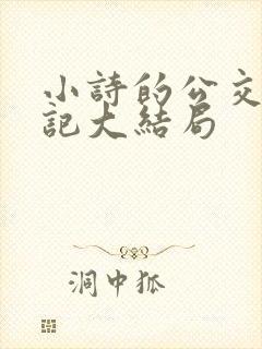 小诗的公交车日记大结局